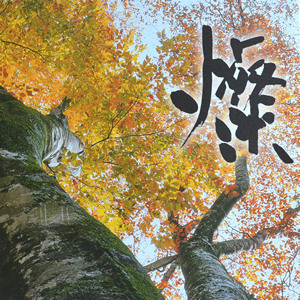 書(文字)デザイン